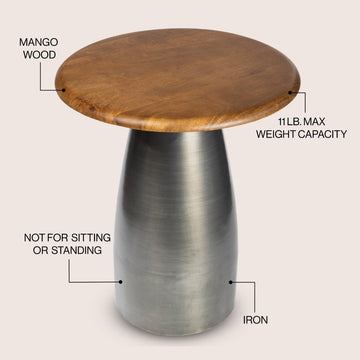 Skye 18" Modern Rustic Wood/Metal Accent Table